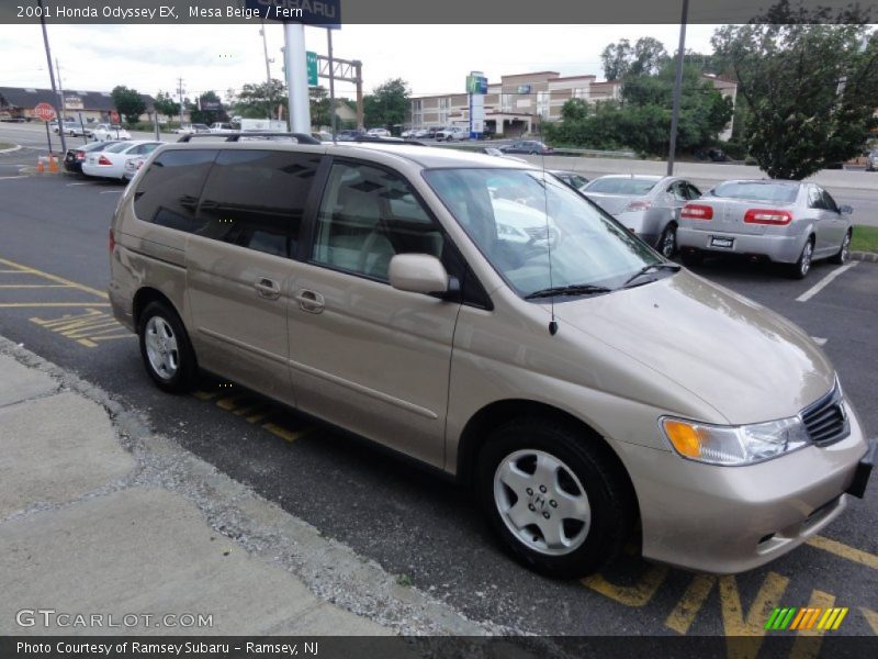 Mesa Beige / Fern 2001 Honda Odyssey EX