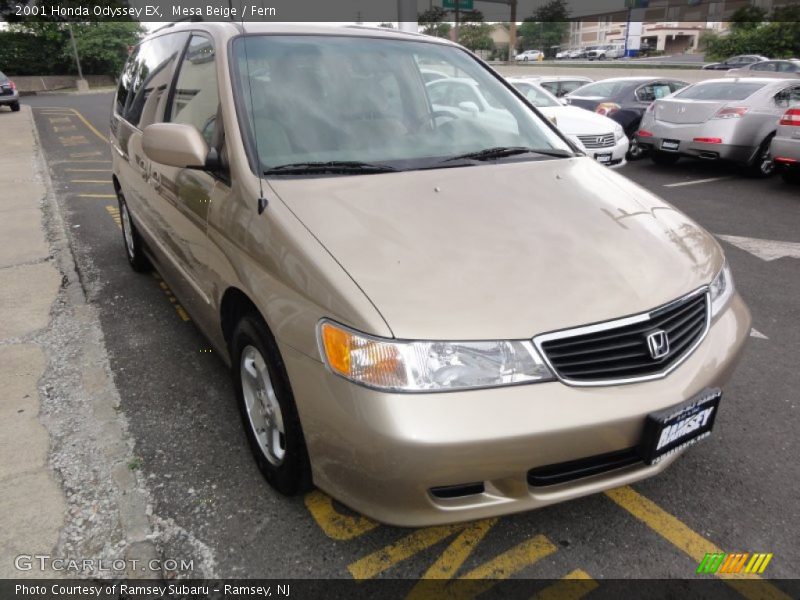 Mesa Beige / Fern 2001 Honda Odyssey EX