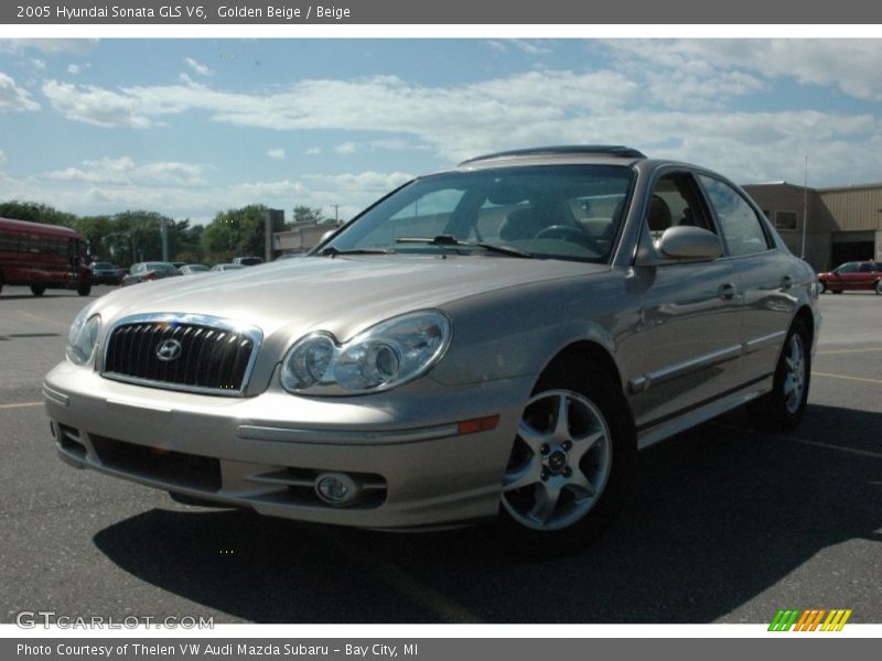 Golden Beige / Beige 2005 Hyundai Sonata GLS V6