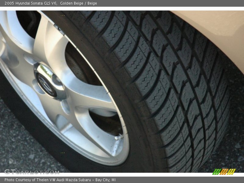 Golden Beige / Beige 2005 Hyundai Sonata GLS V6