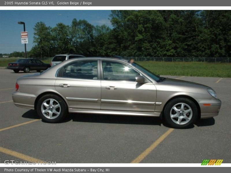 Golden Beige / Beige 2005 Hyundai Sonata GLS V6