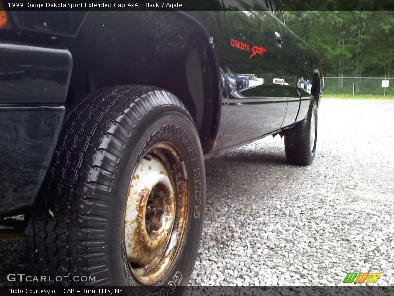 Black / Agate 1999 Dodge Dakota Sport Extended Cab 4x4