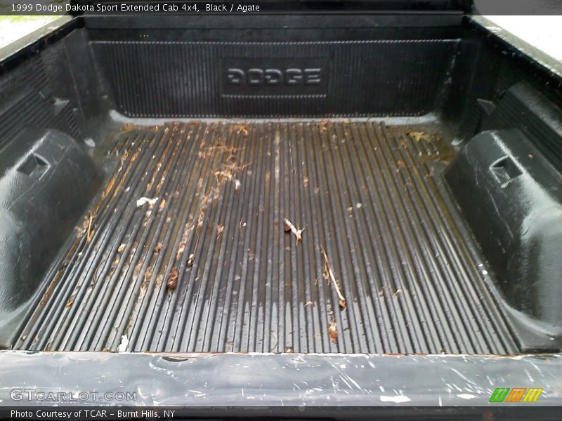 Black / Agate 1999 Dodge Dakota Sport Extended Cab 4x4