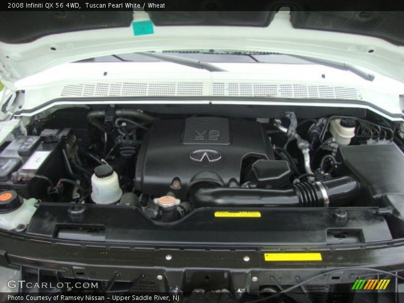 Tuscan Pearl White / Wheat 2008 Infiniti QX 56 4WD