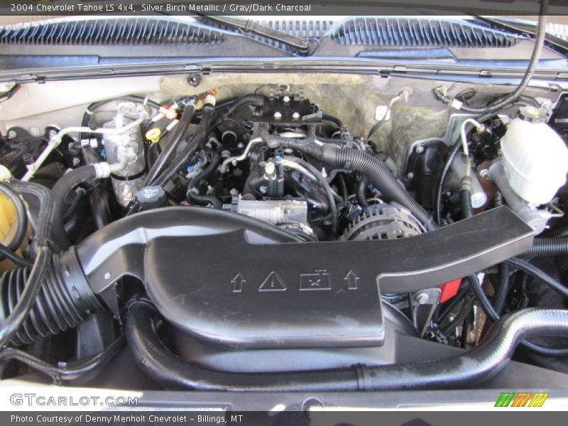 Silver Birch Metallic / Gray/Dark Charcoal 2004 Chevrolet Tahoe LS 4x4