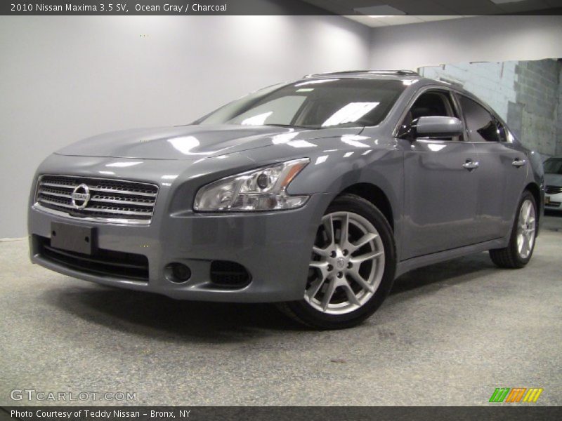 Ocean Gray / Charcoal 2010 Nissan Maxima 3.5 SV