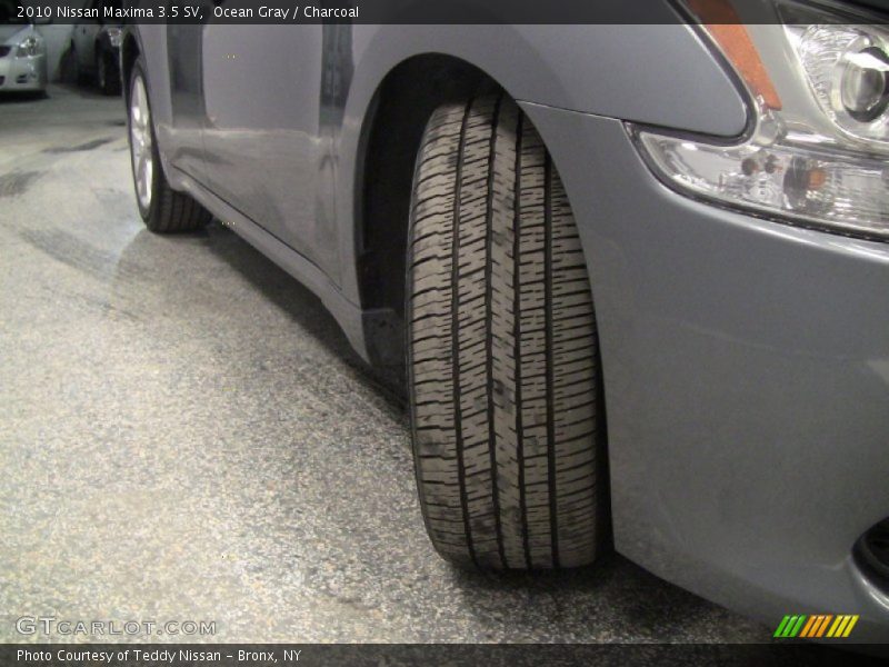 Ocean Gray / Charcoal 2010 Nissan Maxima 3.5 SV