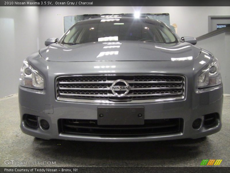 Ocean Gray / Charcoal 2010 Nissan Maxima 3.5 SV