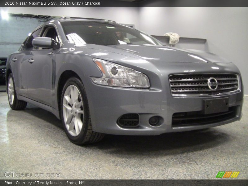 Ocean Gray / Charcoal 2010 Nissan Maxima 3.5 SV