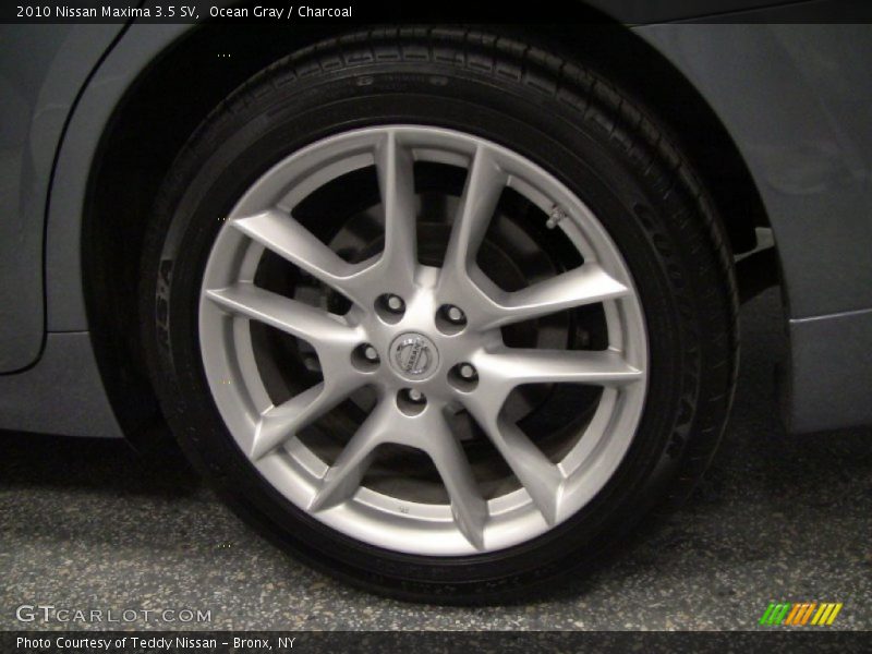 Ocean Gray / Charcoal 2010 Nissan Maxima 3.5 SV