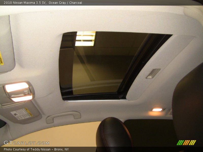 Ocean Gray / Charcoal 2010 Nissan Maxima 3.5 SV