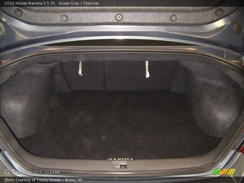 Ocean Gray / Charcoal 2010 Nissan Maxima 3.5 SV