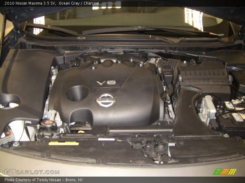 Ocean Gray / Charcoal 2010 Nissan Maxima 3.5 SV
