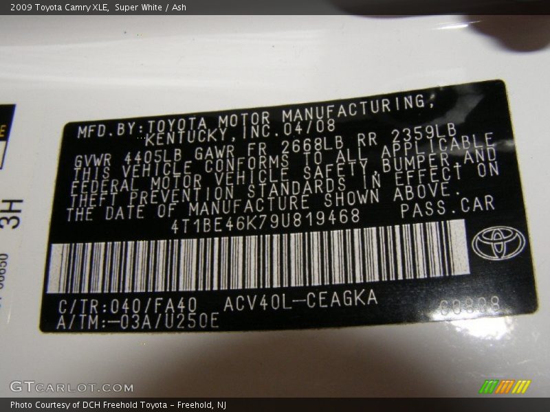 Super White / Ash 2009 Toyota Camry XLE