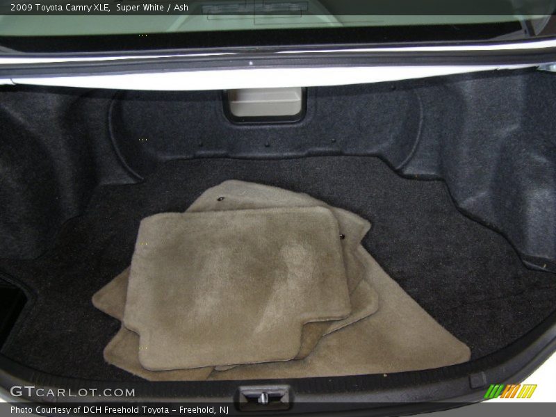 Super White / Ash 2009 Toyota Camry XLE