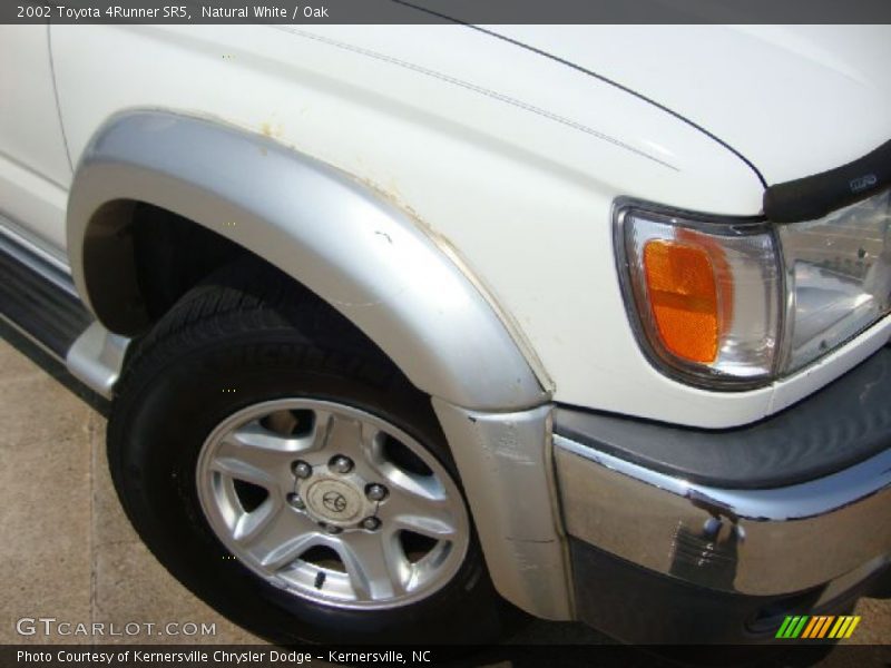 Natural White / Oak 2002 Toyota 4Runner SR5