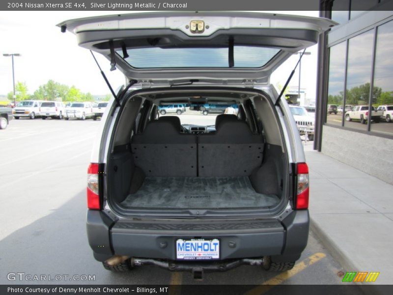 Silver Lightning Metallic / Charcoal 2004 Nissan Xterra SE 4x4