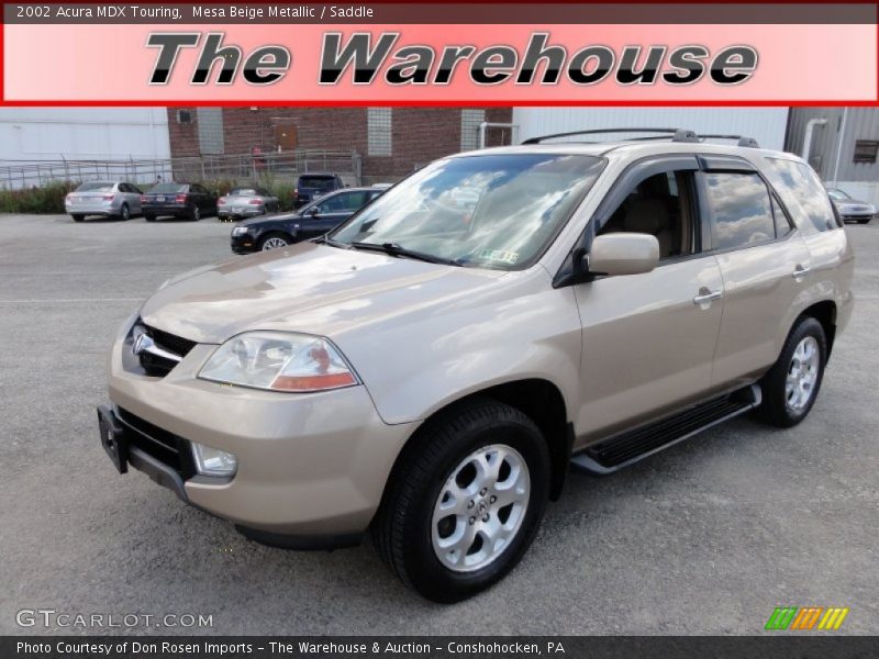Mesa Beige Metallic / Saddle 2002 Acura MDX Touring