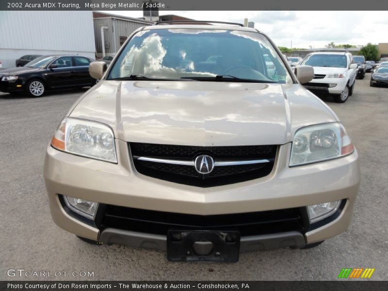 Mesa Beige Metallic / Saddle 2002 Acura MDX Touring
