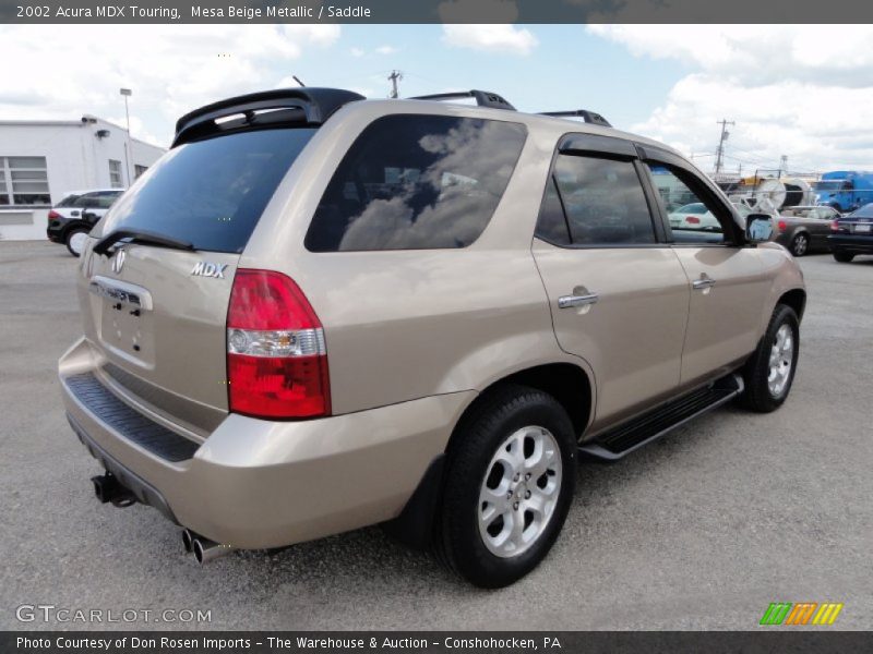 Mesa Beige Metallic / Saddle 2002 Acura MDX Touring