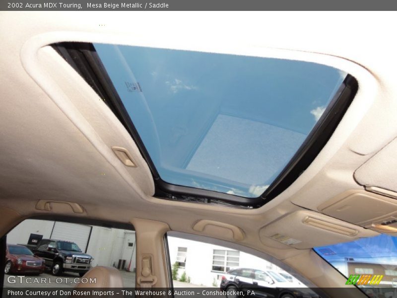 Mesa Beige Metallic / Saddle 2002 Acura MDX Touring