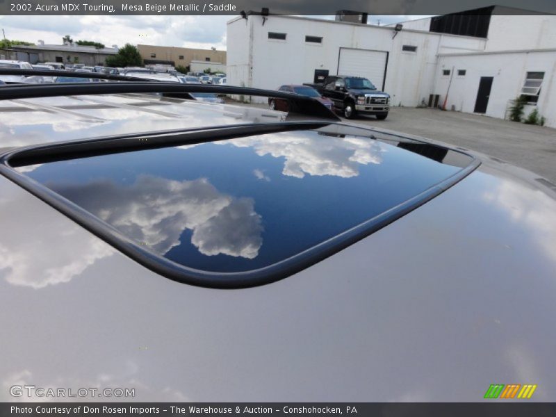 Mesa Beige Metallic / Saddle 2002 Acura MDX Touring