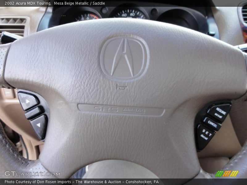 Mesa Beige Metallic / Saddle 2002 Acura MDX Touring