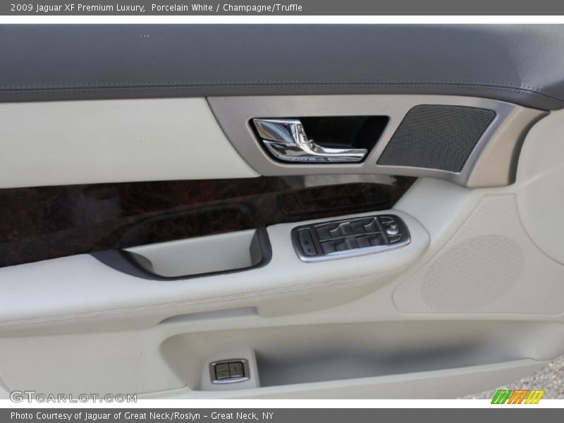 Door Panel of 2009 XF Premium Luxury