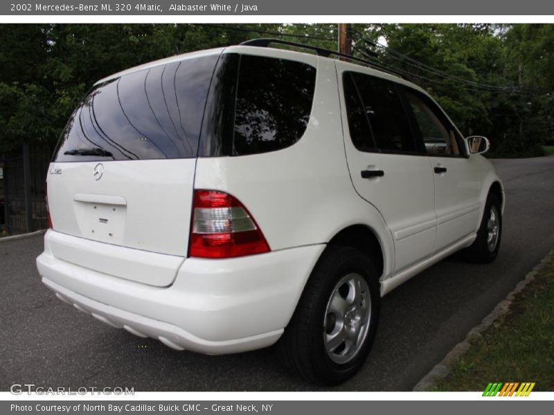 Alabaster White / Java 2002 Mercedes-Benz ML 320 4Matic