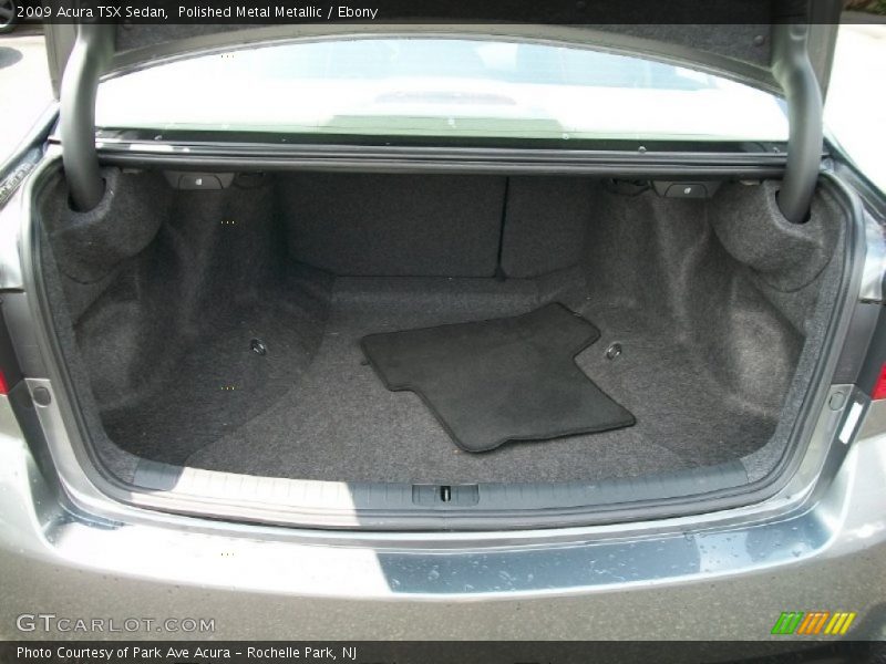 Polished Metal Metallic / Ebony 2009 Acura TSX Sedan