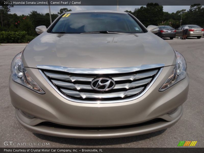 Camel Pearl / Camel 2011 Hyundai Sonata Limited