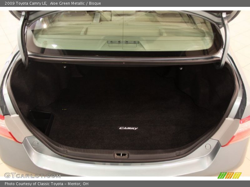 Aloe Green Metallic / Bisque 2009 Toyota Camry LE