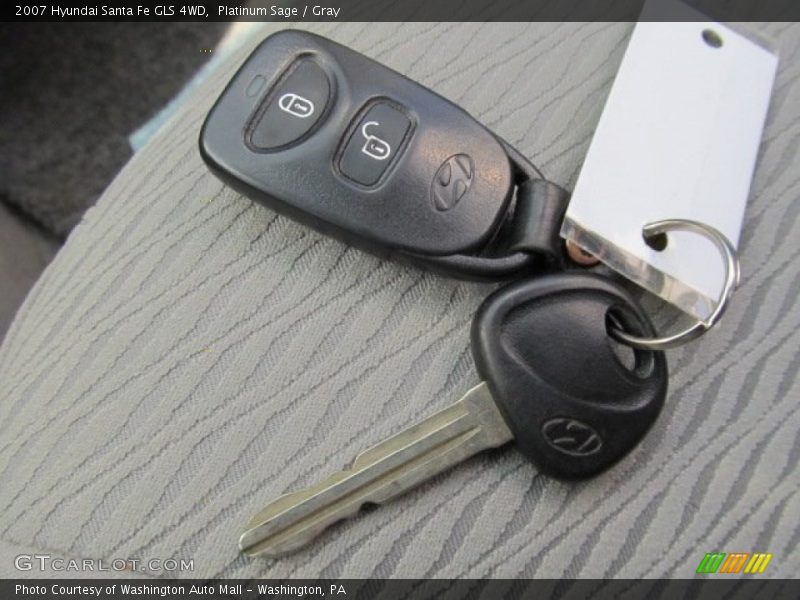 Platinum Sage / Gray 2007 Hyundai Santa Fe GLS 4WD