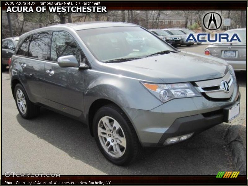Nimbus Gray Metallic / Parchment 2008 Acura MDX