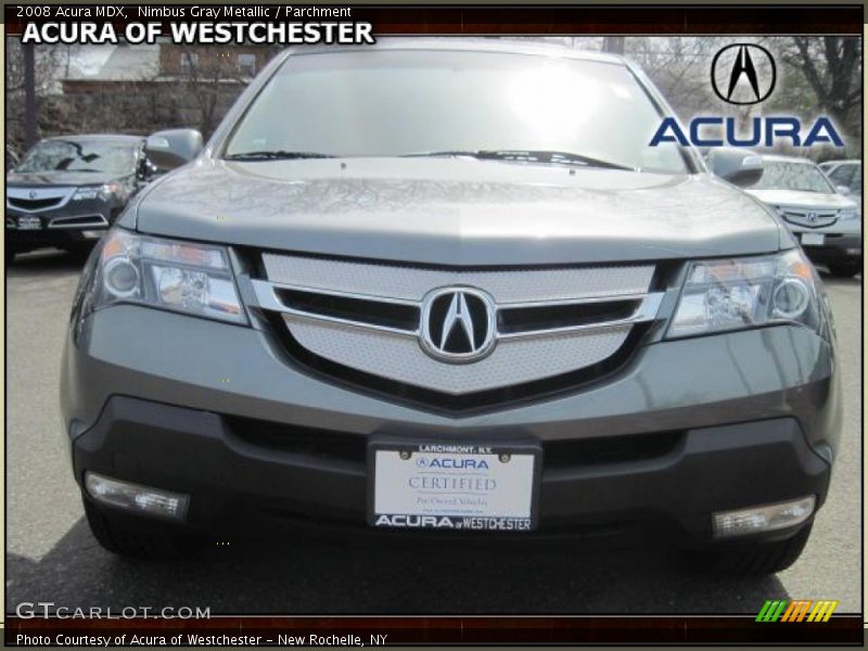 Nimbus Gray Metallic / Parchment 2008 Acura MDX