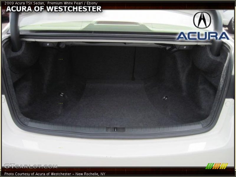 Premium White Pearl / Ebony 2009 Acura TSX Sedan