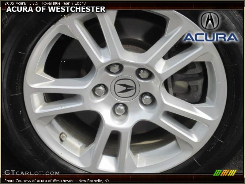 Royal Blue Pearl / Ebony 2009 Acura TL 3.5