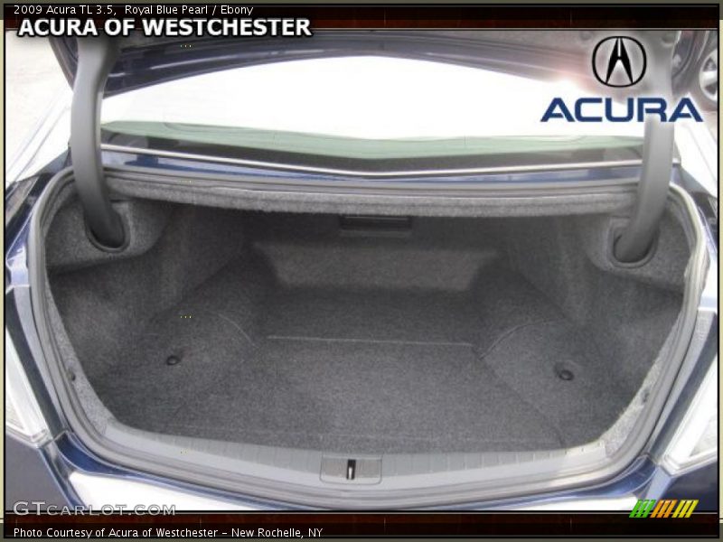 Royal Blue Pearl / Ebony 2009 Acura TL 3.5