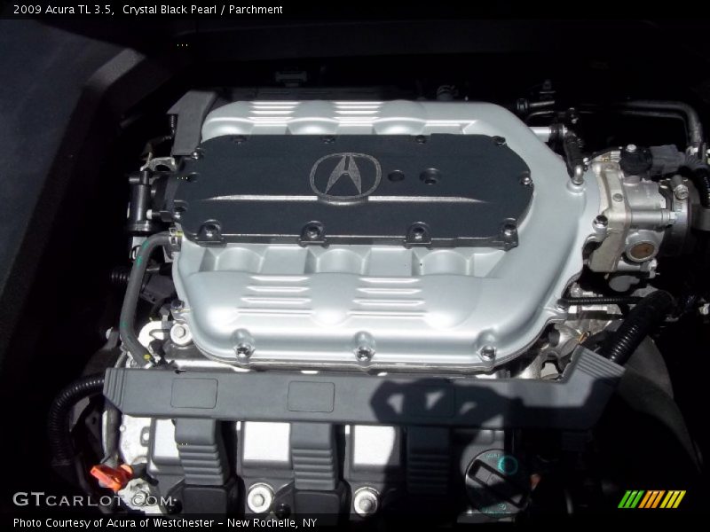Crystal Black Pearl / Parchment 2009 Acura TL 3.5