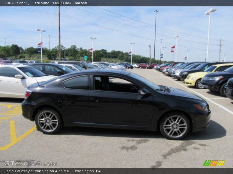 Black Sand Pearl / Dark Charcoal 2009 Scion tC