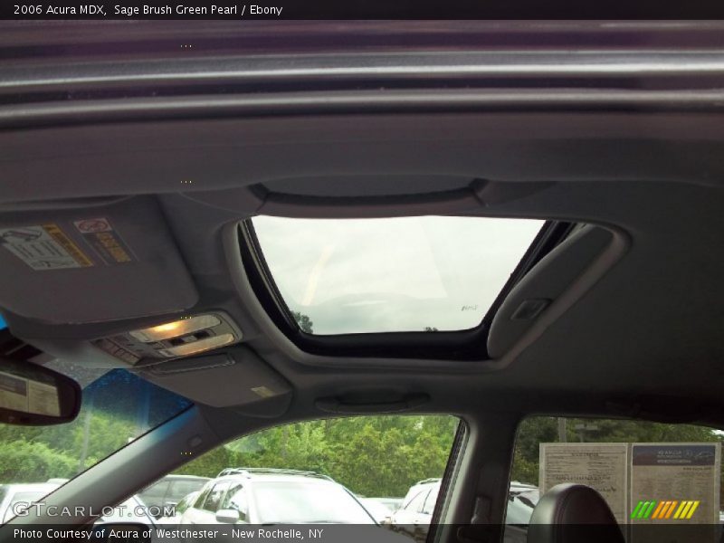 Sage Brush Green Pearl / Ebony 2006 Acura MDX