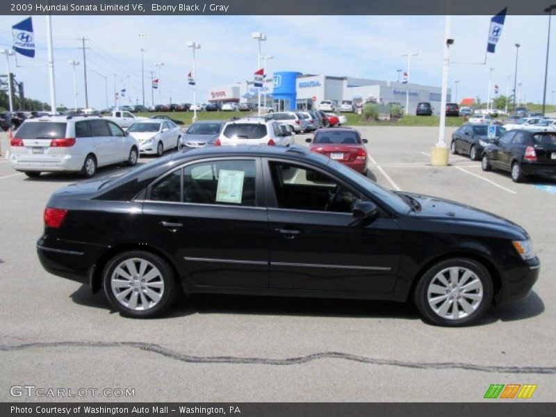 Ebony Black / Gray 2009 Hyundai Sonata Limited V6