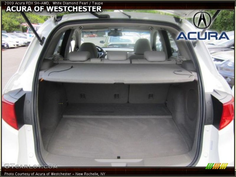 White Diamond Pearl / Taupe 2009 Acura RDX SH-AWD