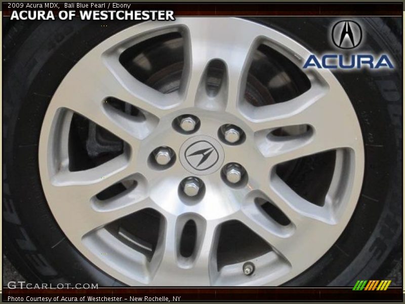 Bali Blue Pearl / Ebony 2009 Acura MDX