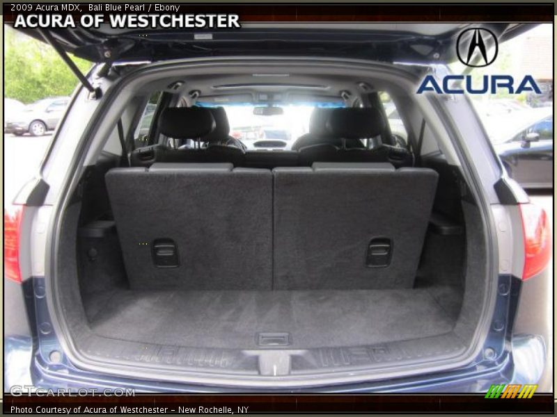 Bali Blue Pearl / Ebony 2009 Acura MDX