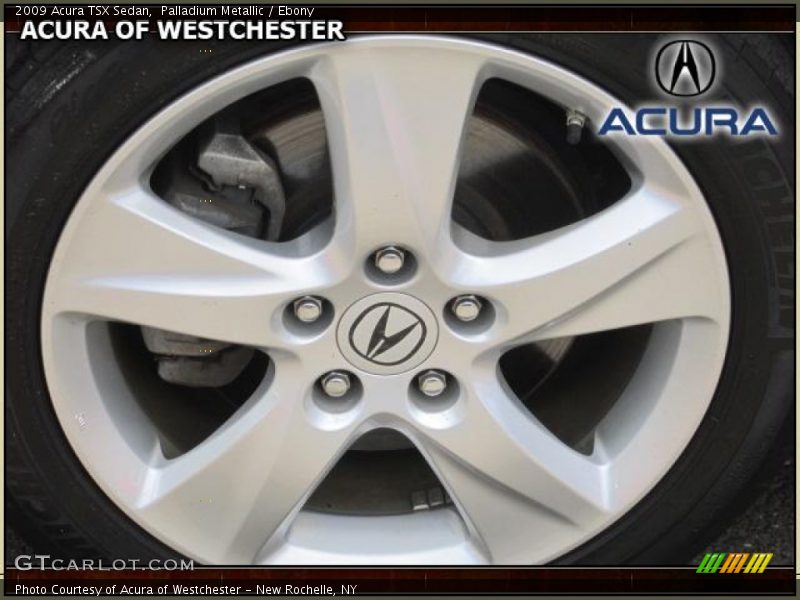 Palladium Metallic / Ebony 2009 Acura TSX Sedan