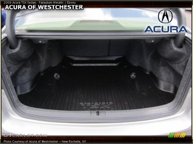 Palladium Metallic / Ebony 2009 Acura TSX Sedan