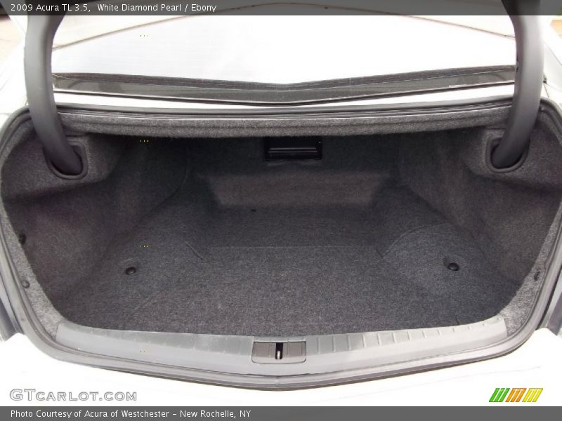 White Diamond Pearl / Ebony 2009 Acura TL 3.5