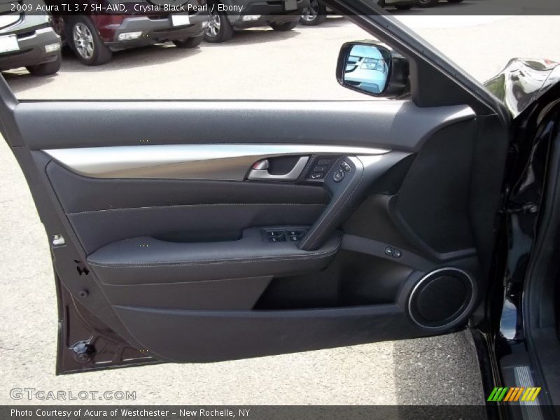 Door Panel of 2009 TL 3.7 SH-AWD