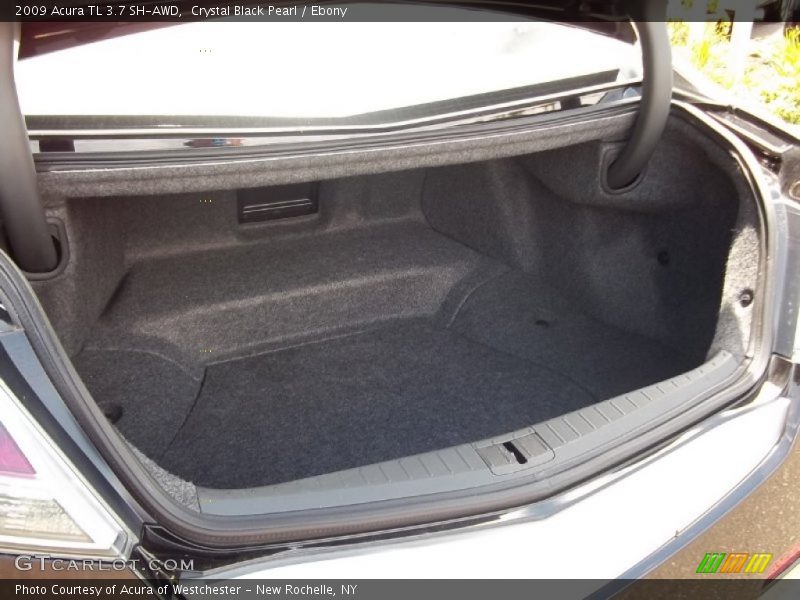  2009 TL 3.7 SH-AWD Trunk